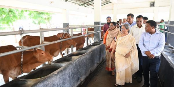 প্রাণিসম্পদের সমস্যা লাঘবে আঞ্চলিক কেন্দ্রগুলোকে শক্তিশালী করা হবে
